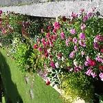 Guest house Gaestehaus Bergland Berwang