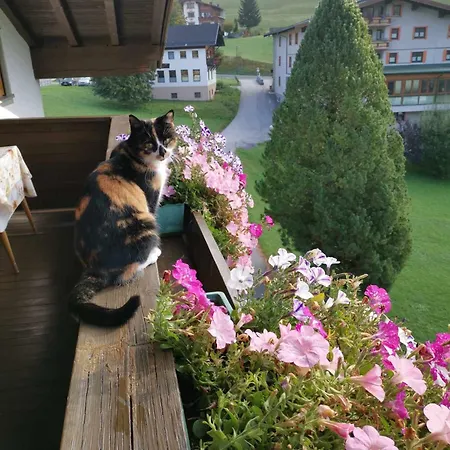 Gaestehaus Bergland Pensionat 3*