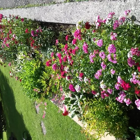 Pensionat Gaestehaus Bergland Berwang